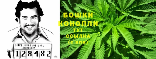 стафф Краснослободск