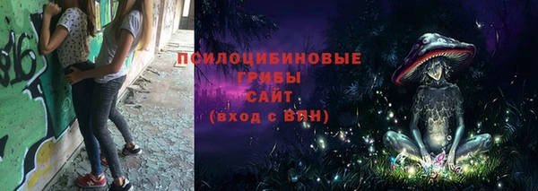 стафф Краснослободск