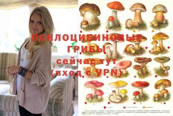 стафф Краснослободск